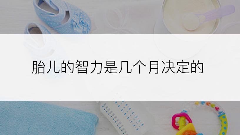 胎儿的智力是几个月决定的