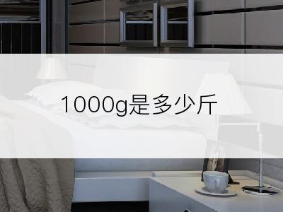 1000g是多少斤