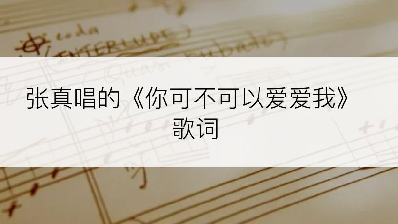 张真唱的《你可不可以爱爱我》歌词