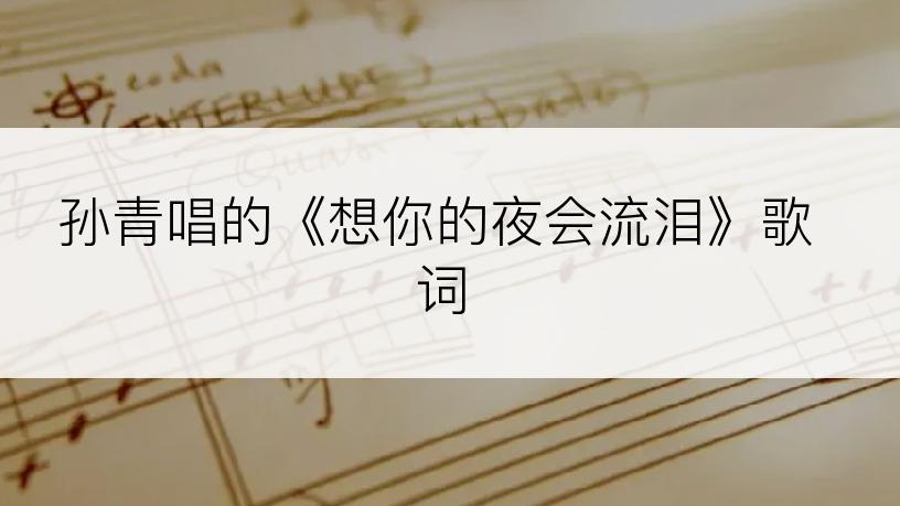 孙青唱的《想你的夜会流泪》歌词