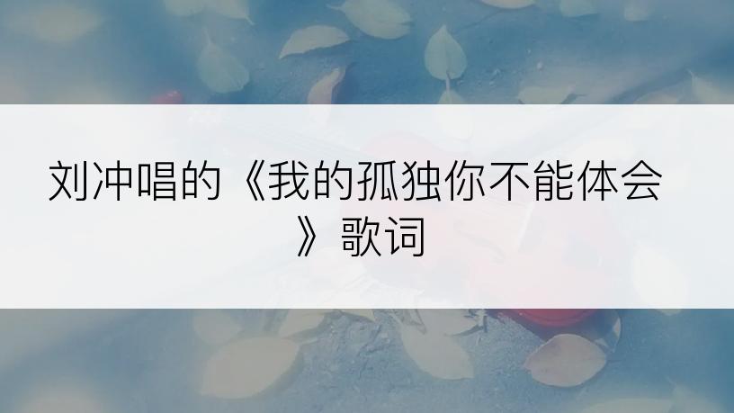 刘冲唱的《我的孤独你不能体会》歌词