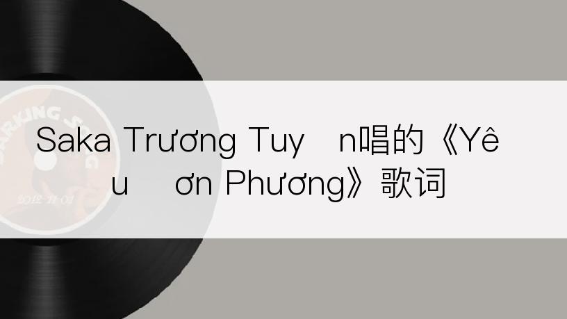 Saka Trương Tuyền唱的《Yêu Đơn Phương》歌词