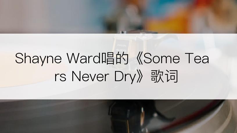 Shayne Ward唱的《Some Tears Never Dry》歌词
