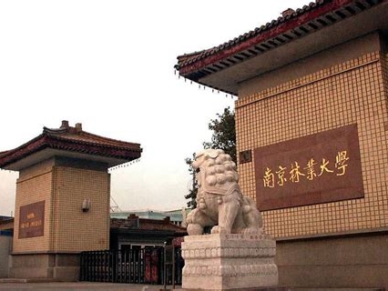 南京林业大学是怎么样的一所学校