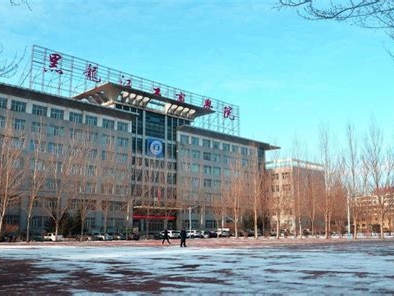 黑龙江工商学院是怎么样的一所学校