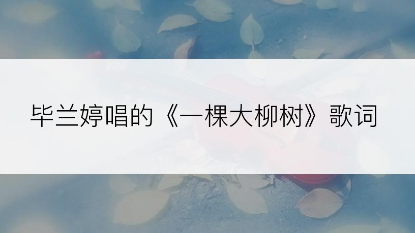 毕兰婷唱的《一棵大柳树》歌词