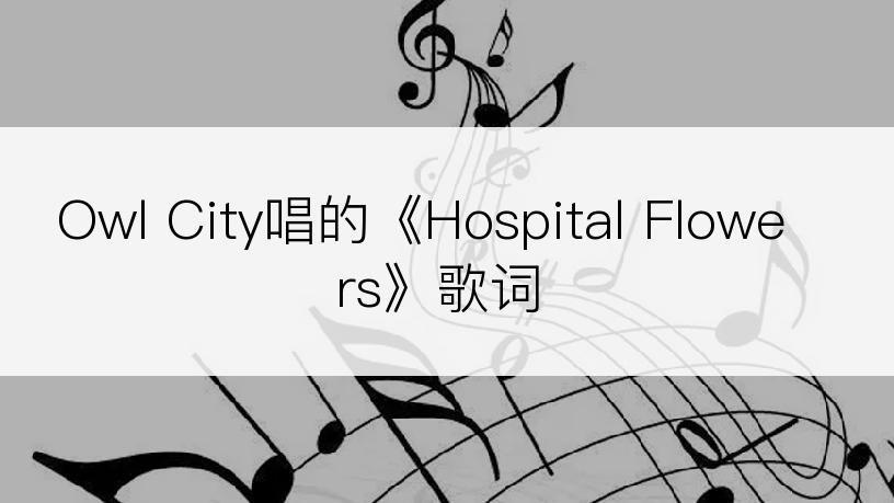 Owl City唱的《Hospital Flowers》歌词