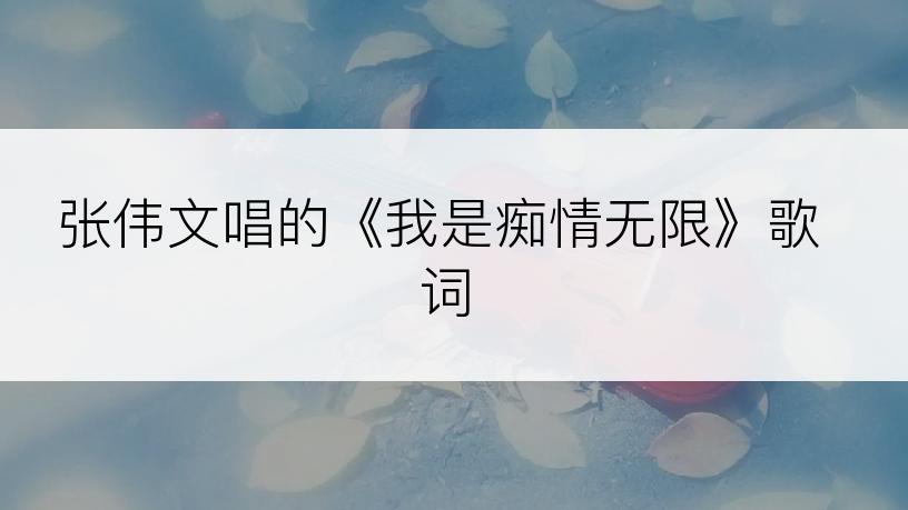 张伟文唱的《我是痴情无限》歌词