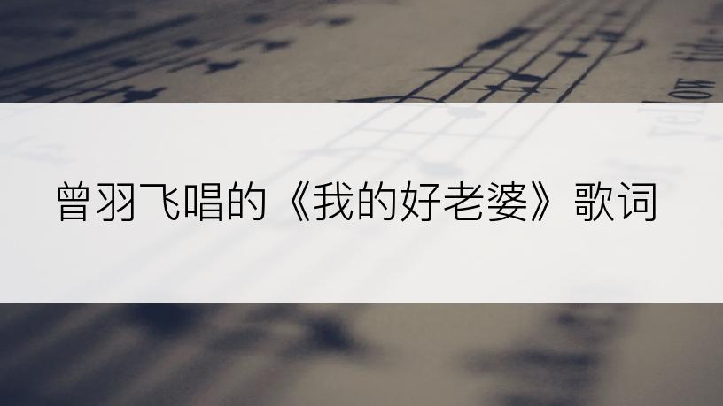 曾羽飞唱的《我的好老婆》歌词