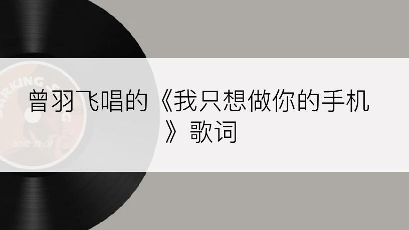 曾羽飞唱的《我只想做你的手机》歌词