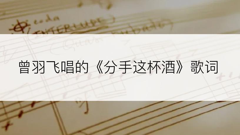 曾羽飞唱的《分手这杯酒》歌词