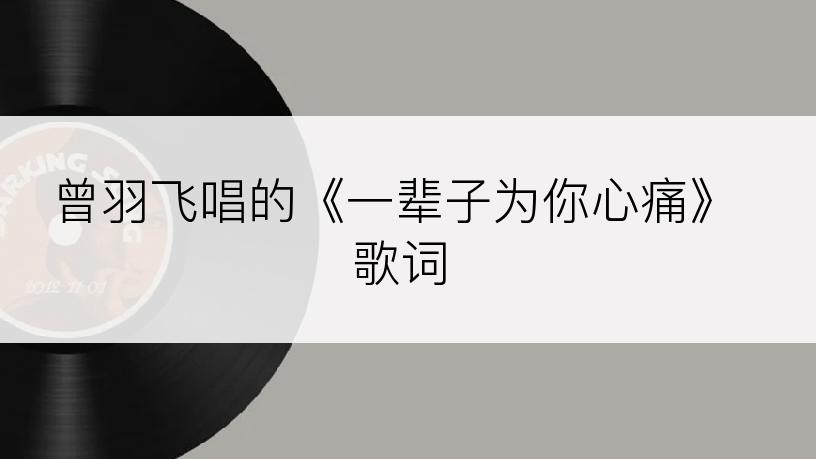 曾羽飞唱的《一辈子为你心痛》歌词