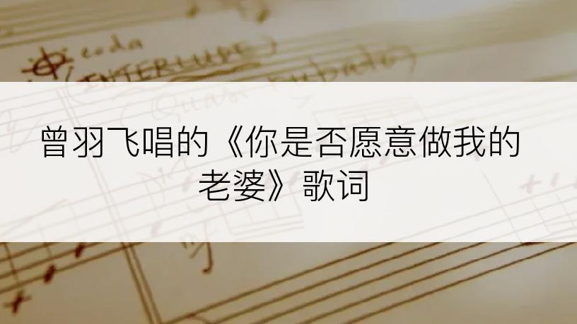 曾羽飞唱的《你是否愿意做我的老婆》歌词