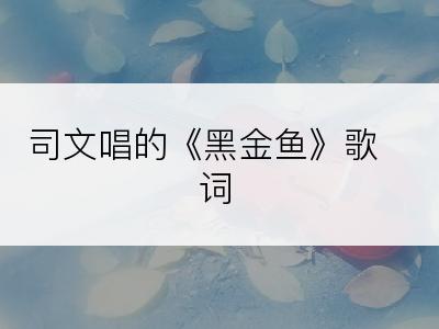 司文唱的《黑金鱼》歌词