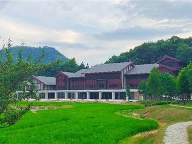 和君职业学院是怎么样的一所学校