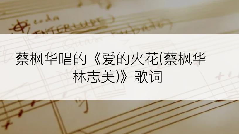 蔡枫华唱的《爱的火花(蔡枫华 林志美)》歌词