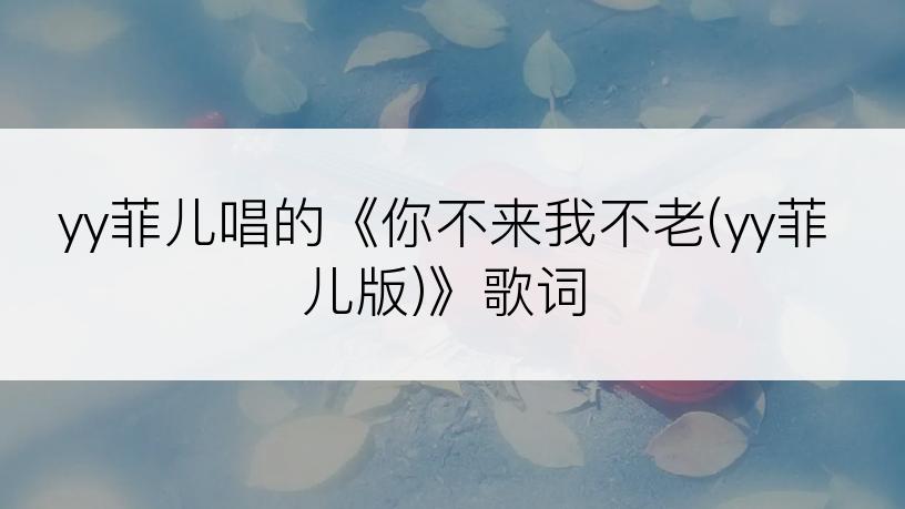 yy菲儿唱的《你不来我不老(yy菲儿版)》歌词