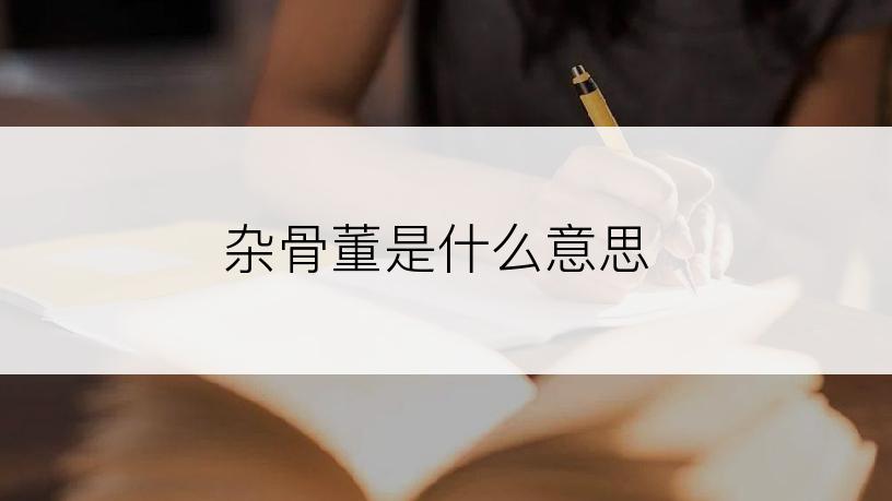 杂骨董是什么意思