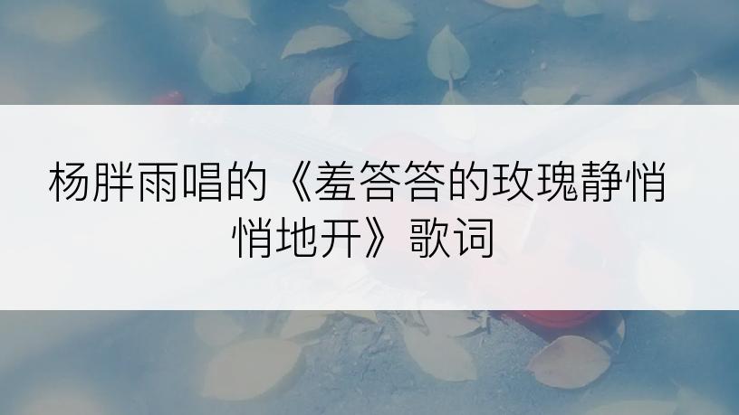 杨胖雨唱的《羞答答的玫瑰静悄悄地开》歌词