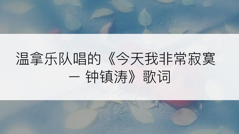 温拿乐队唱的《今天我非常寂寞 – 钟镇涛》歌词
