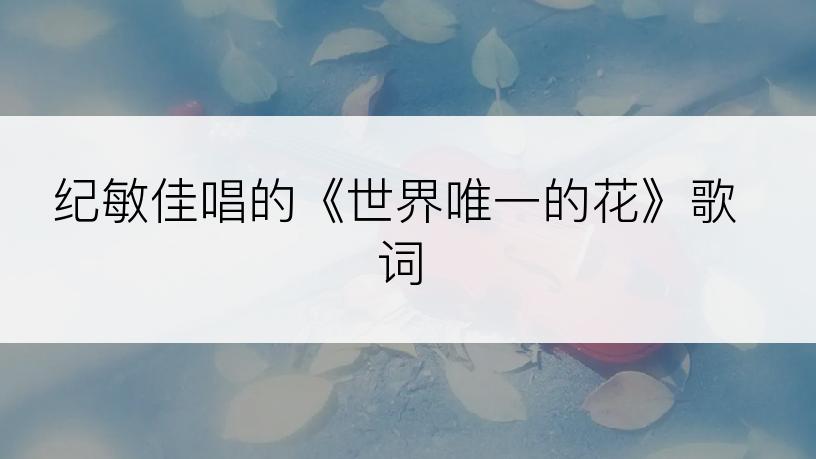 纪敏佳唱的《世界唯一的花》歌词