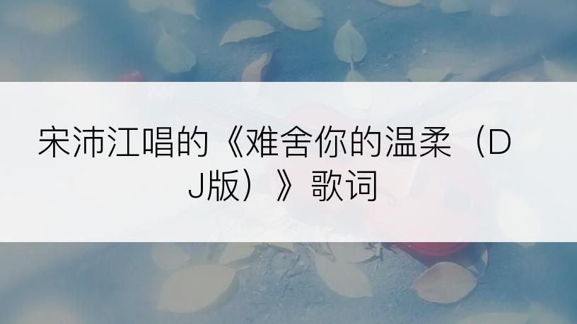 宋沛江唱的《难舍你的温柔（DJ版）》歌词