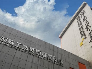 湖南工艺美术职业学院是怎么样的一所学校