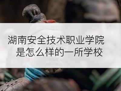 湖南安全技术职业学院是怎么样的一所学校