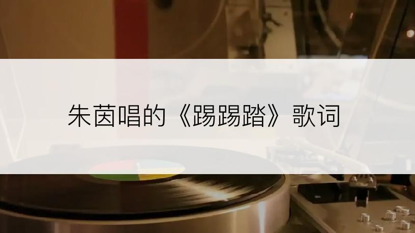 朱茵唱的《踢踢踏》歌词