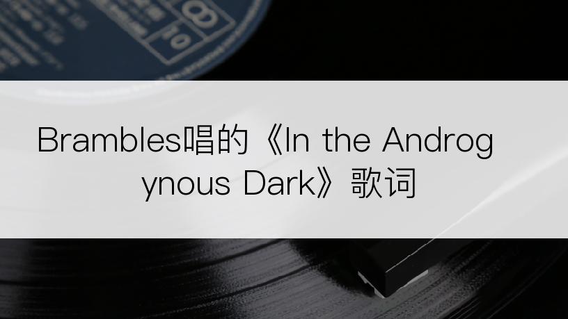 Brambles唱的《In the Androgynous Dark》歌词