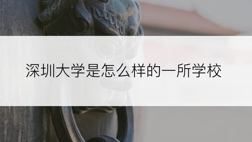 深圳大学是怎么样的一所学校