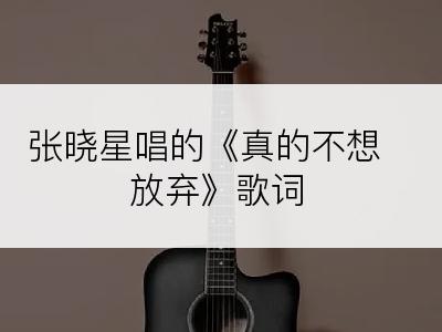张晓星唱的《真的不想放弃》歌词