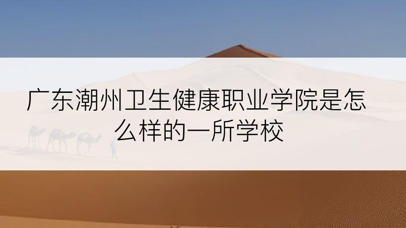 广东潮州卫生健康职业学院是怎么样的一所学校