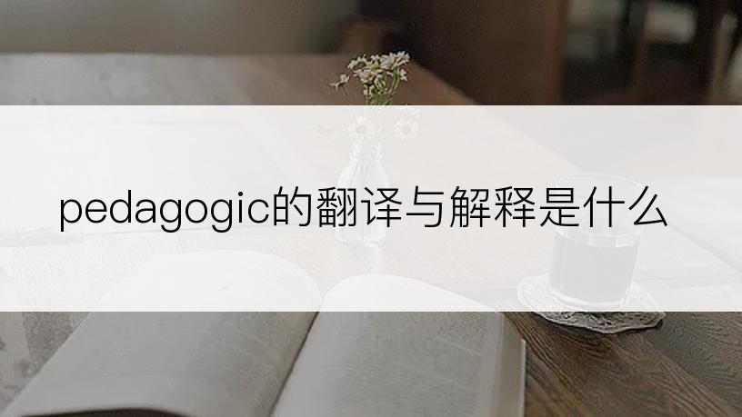 pedagogic的翻译与解释是什么