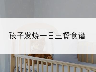 孩子发烧一日三餐食谱