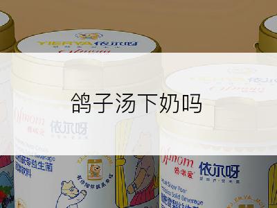 鸽子汤下奶吗