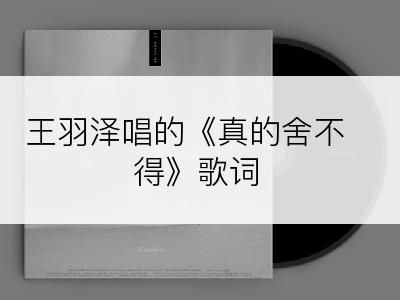 王羽泽唱的《真的舍不得》歌词