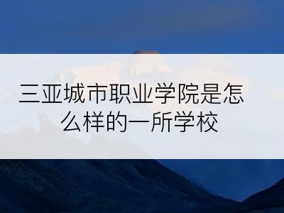 三亚城市职业学院是怎么样的一所学校