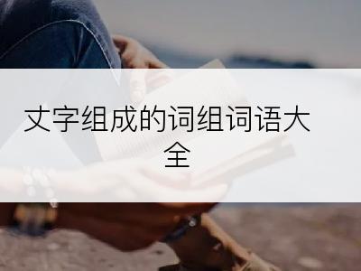 丈字组成的词组词语大全