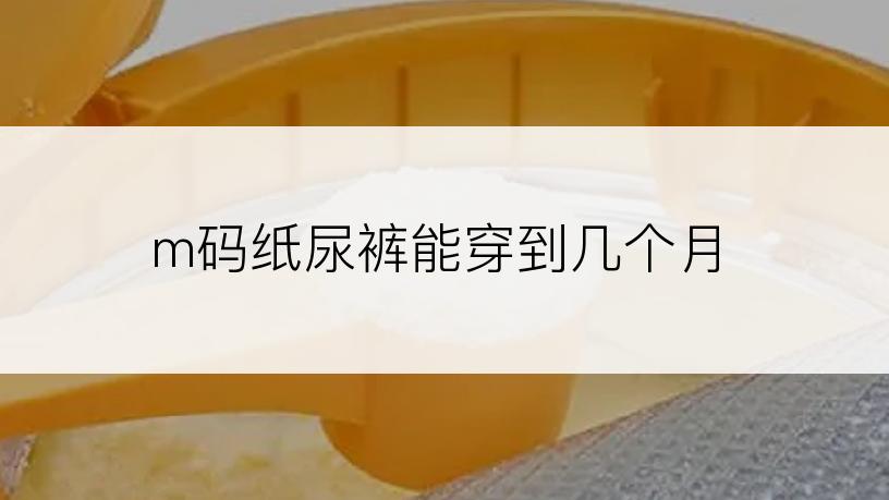 m码纸尿裤能穿到几个月