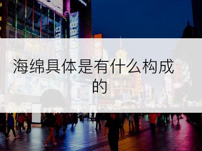 海绵具体是有什么构成的