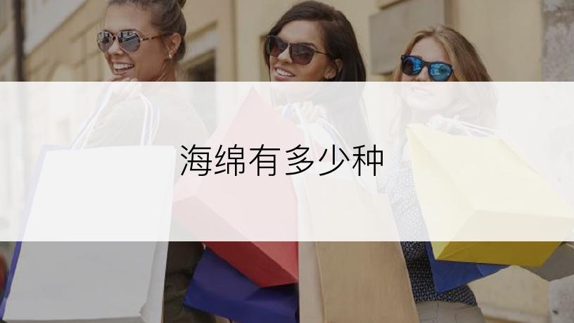 海绵有多少种