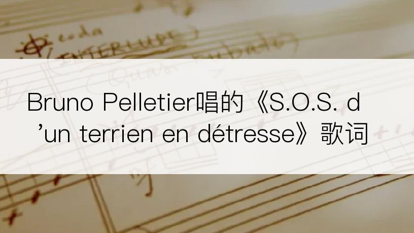 Bruno Pelletier唱的《S.O.S. d'un terrien en détresse》歌词