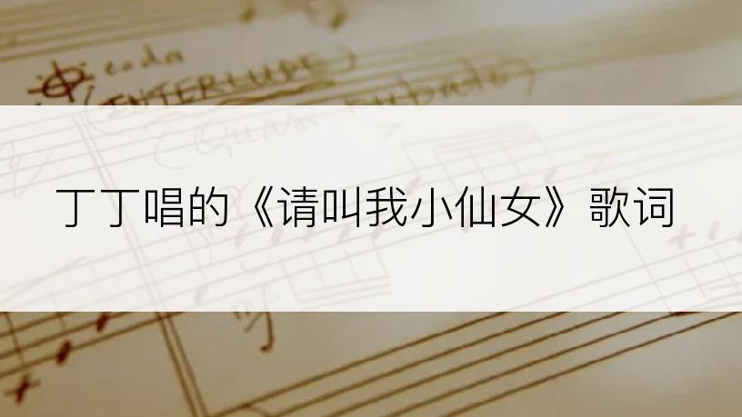 丁丁唱的《请叫我小仙女》歌词