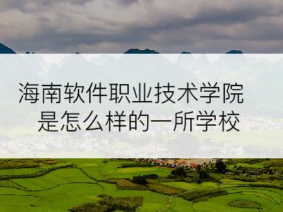 海南软件职业技术学院是怎么样的一所学校