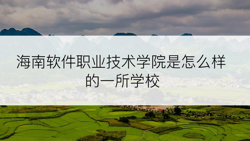 海南软件职业技术学院是怎么样的一所学校