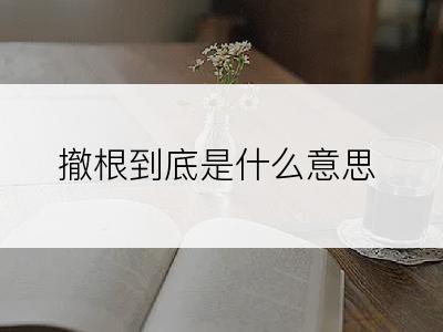 撤根到底是什么意思