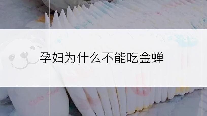 孕妇为什么不能吃金蝉