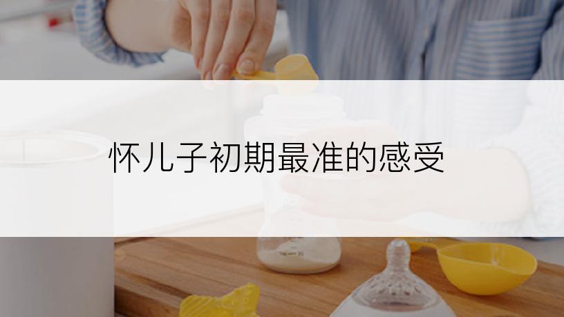 怀儿子初期最准的感受