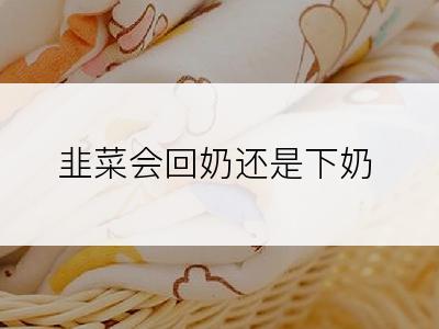 韭菜会回奶还是下奶